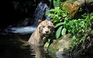 10 лучших зоопарков мира